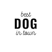 Dog Hund Sticker by foerdehunde