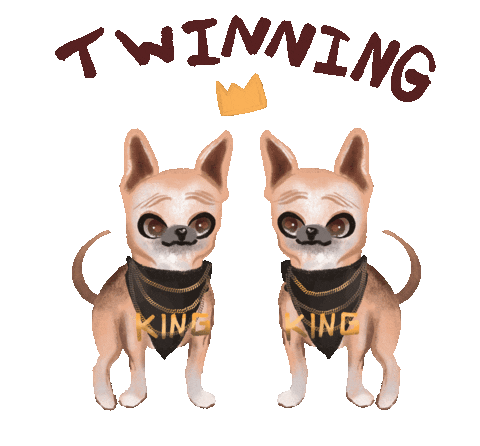 Crown Chihuahua Sticker