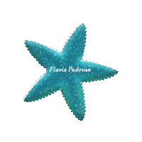 Star Sticker by FlaviaPadovan