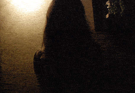 GIF by Jaime Martinez