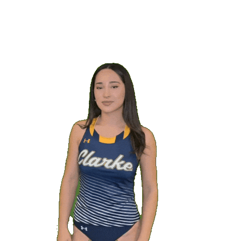 Clarke Athletics Sticker by Clarke University