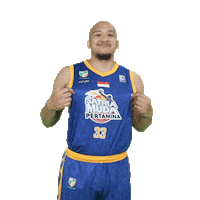 Indonesia Celebrate Sticker by Satria Muda Basketball