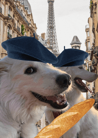 France Baguette GIF