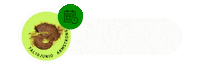 Axion Sticker by AgroActiva