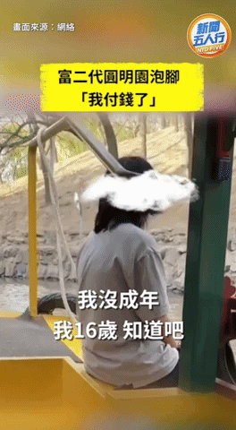 yj_jane giphyupload GIF
