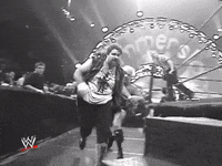 wwe sports wwe wrestling summerslam GIF