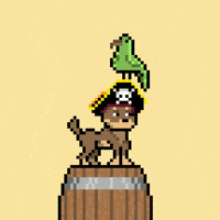 Happy Friday GIF by Doginal Dogs