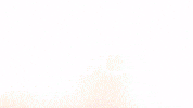Celebration Goal GIF by FC Red Bull Salzburg