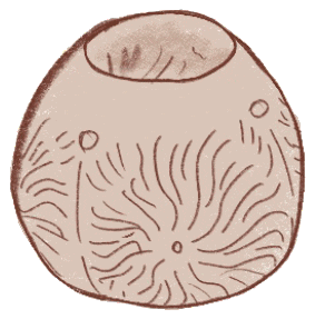 Boho Candle Sticker by Bohoswing