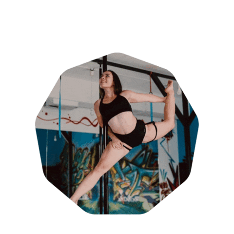 Pole Dance Sticker by Fit&More