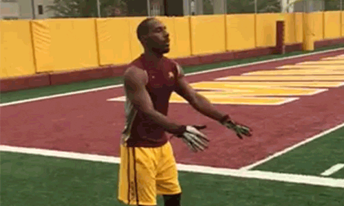university of minnesota football GIF by Minnesota Gophers