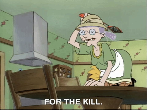hey arnold nicksplat GIF