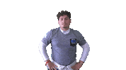 Formula 1 Thumbs Up Sticker by smart e-cup