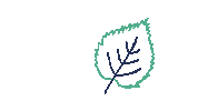 Leaf Blatt Sticker by d.vinci HR