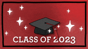 Celebration Congrats GIF by SUNY Oneonta