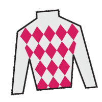 Horse Racing Jockey Sticker by Kentucky Derby