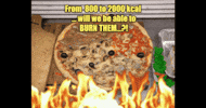 Pizza Kcal GIF by GIF IT UP