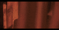 Fire Flames GIF by Ryland James