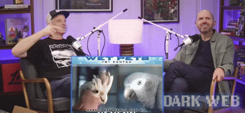 Paul Scheer Dancing GIF by Dark Web