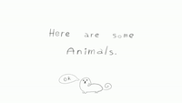 Here are some Animals