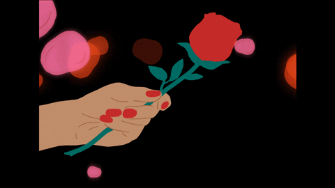 illustration color GIF by Dai Ruiz