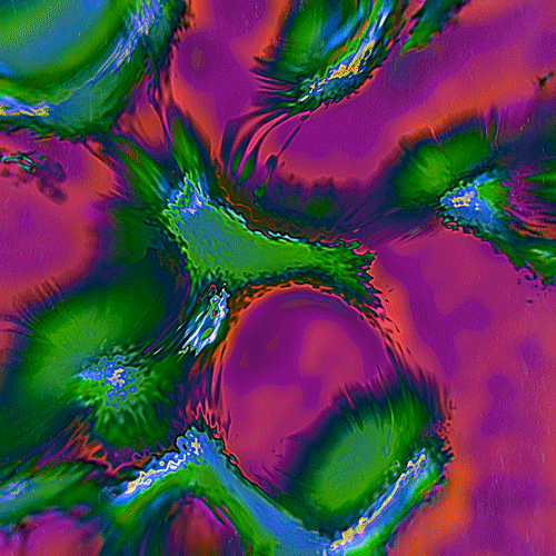 animation love GIF by POST-WEB