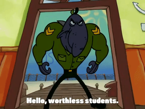 season 4 krusty towers GIF by SpongeBob SquarePants