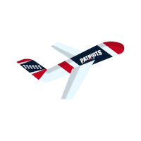 Football Reaction Sticker by New England Patriots