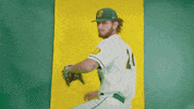 North Dakota State Baseball GIF by NDSU Athletics