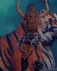 Water Lollapalooza GIF by Respective