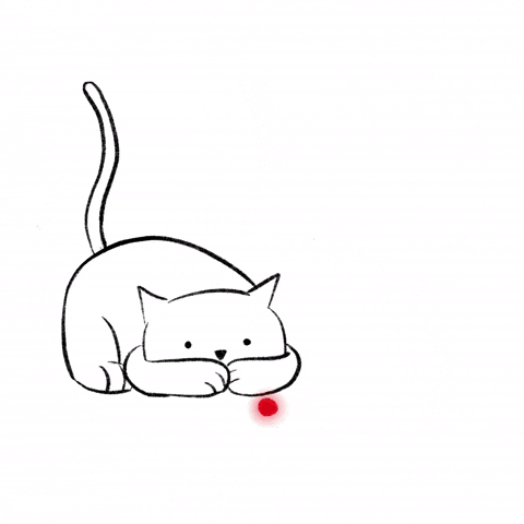 Cat GIF by cintascotch