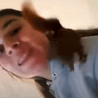 GIF by The Dodo