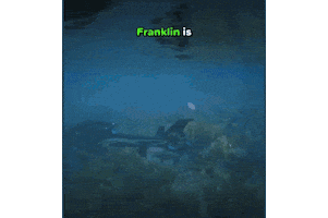 Ocean Gta Sticker