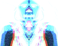 GIF by Leo Pyrata