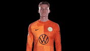 Look Here Reaction GIF by VfL Wolfsburg