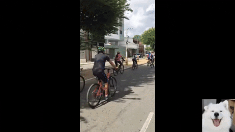 kvntng17 giphyupload GIF
