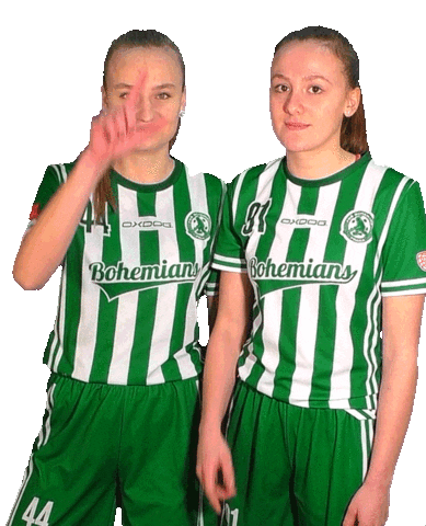 Sport Floorball Sticker by FbŠ Bohemians