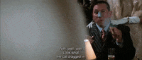 Star Trek Cat GIF by Goldmaster
