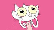 Kitty Wow GIF by sarahmaes