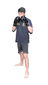 Sora Lottatore Sticker by Champion Training Sanda Martial Art