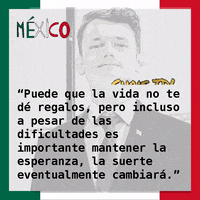 Emprendedor Oro GIF by Chris TDL Mexico