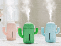 GIF by Powderly