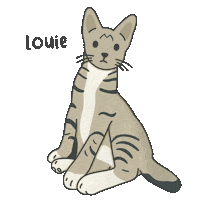 Cute Cat Sticker
