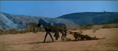 icgionn giphyupload GIF