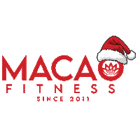 Christmas Gym Sticker by Macao Fitness