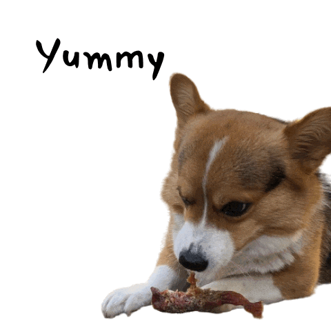 Milo_SiliconValley dog yummy eating yum Sticker