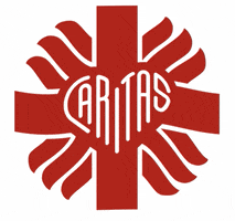 Caritas GIF by caritas.polska