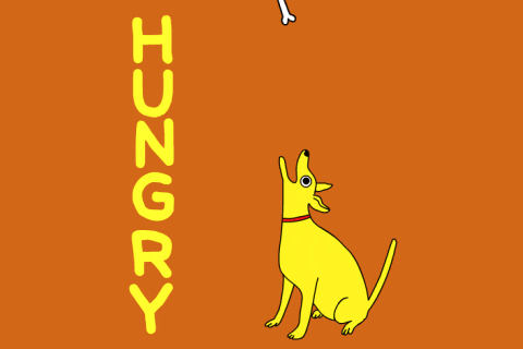 Cartoon gif. Yellow dog sits anticipatedly with his tail wagging in excitement. He tilts his head upwards, opens wide, and inhales the turkey legs and ice cream falling from above. Text reads vertically, "HUNGRY."