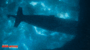 Tom Cruise Water GIF by Mission: Impossible
