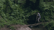 GIF by WEEDIQUETTE